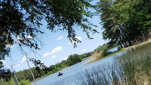 Lake days