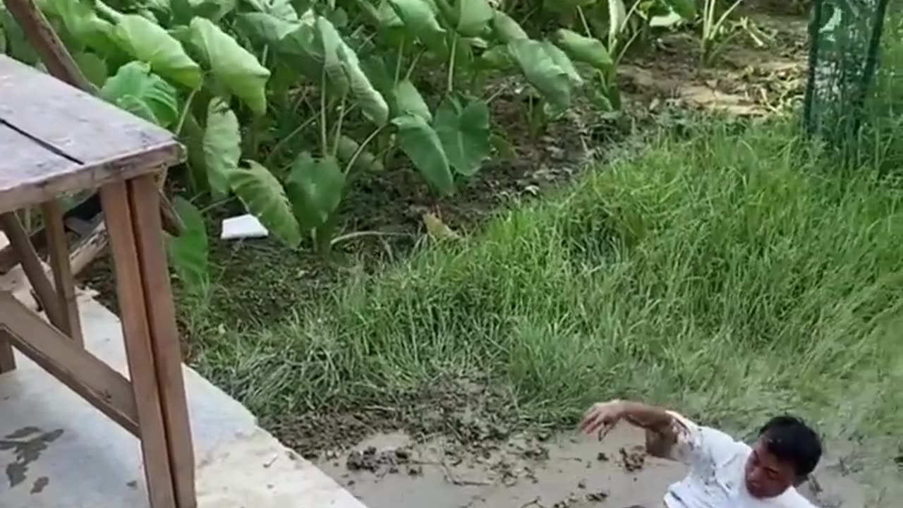 Short video comedy