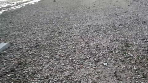 Speedlapse. Walking on a beach 2022