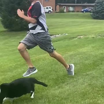 Our 28 LB cat is FAST 💨