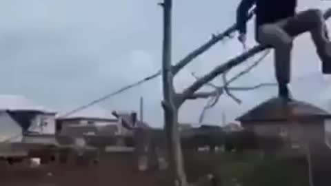 Guy up in a tree cuts the branch he is on