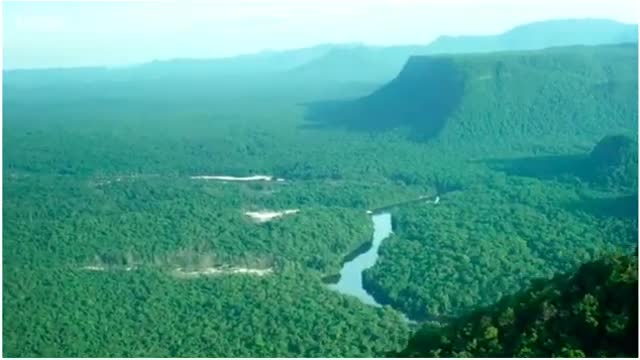 Amazon rainforest video
