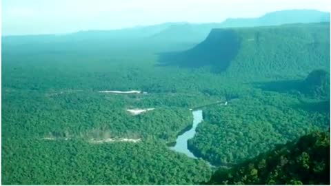Amazon rainforest video