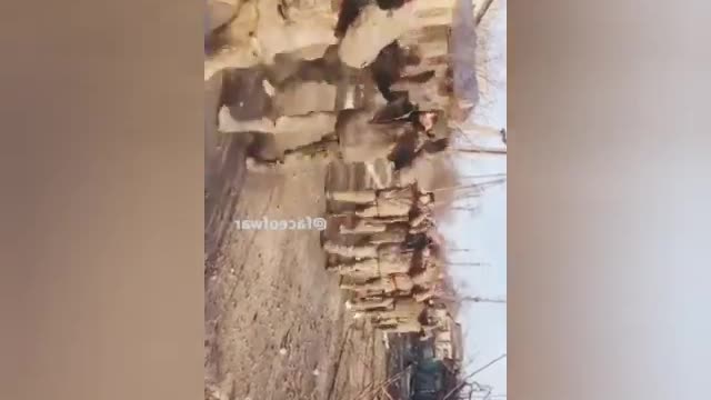 267 marines from the 503rd battalion in Mariupol surrender to Russians