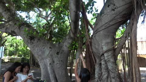 KB Miami Visit June 2017