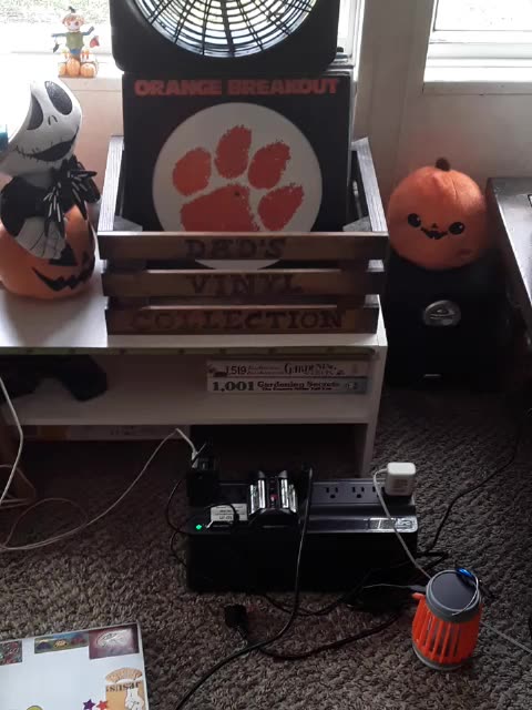 A Country Boy can Survive