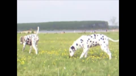 Kyra (13 years) and Lara (1 year) playing a lot