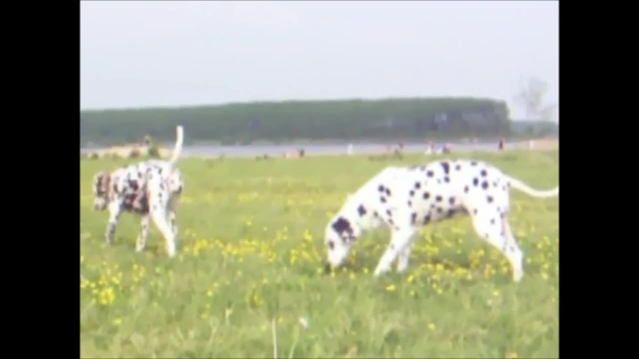 Kyra (13 years) and Lara (1 year) playing a lot