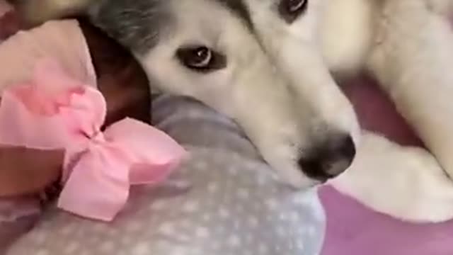 They Instantly Fell In Love!