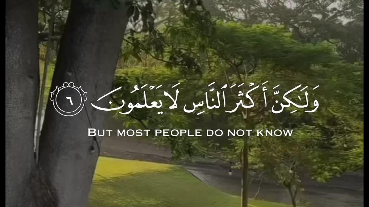 "The majesty and beauty of the Quran in describing the Day of Judgment"