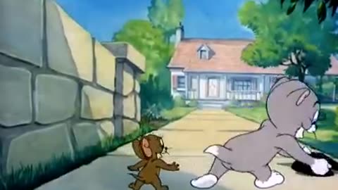 Cartoon Tom and Jerry best cartoon