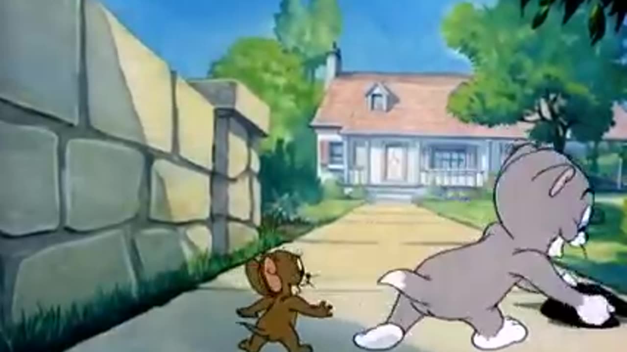 Cartoon Tom and Jerry best cartoon