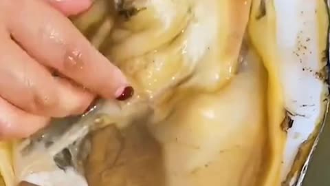 ASMR/ASMR EATING