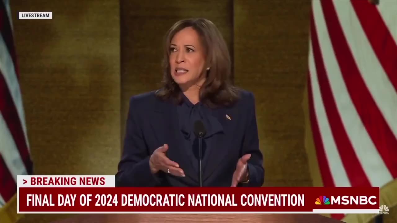 Kamala Harris announces her plan to handle the Israeli/Palestinian conflict.