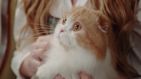 Taking care of her pet