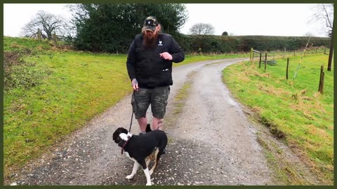 How To FIX Aggressive Behaviour From Your Dog on a Lead INSTANTLY!