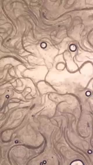 Educational Purposes Only..!