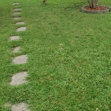 Playing with magic 😁