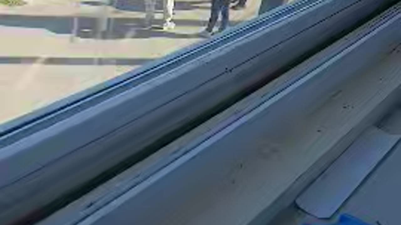 the scene outside my window every morning