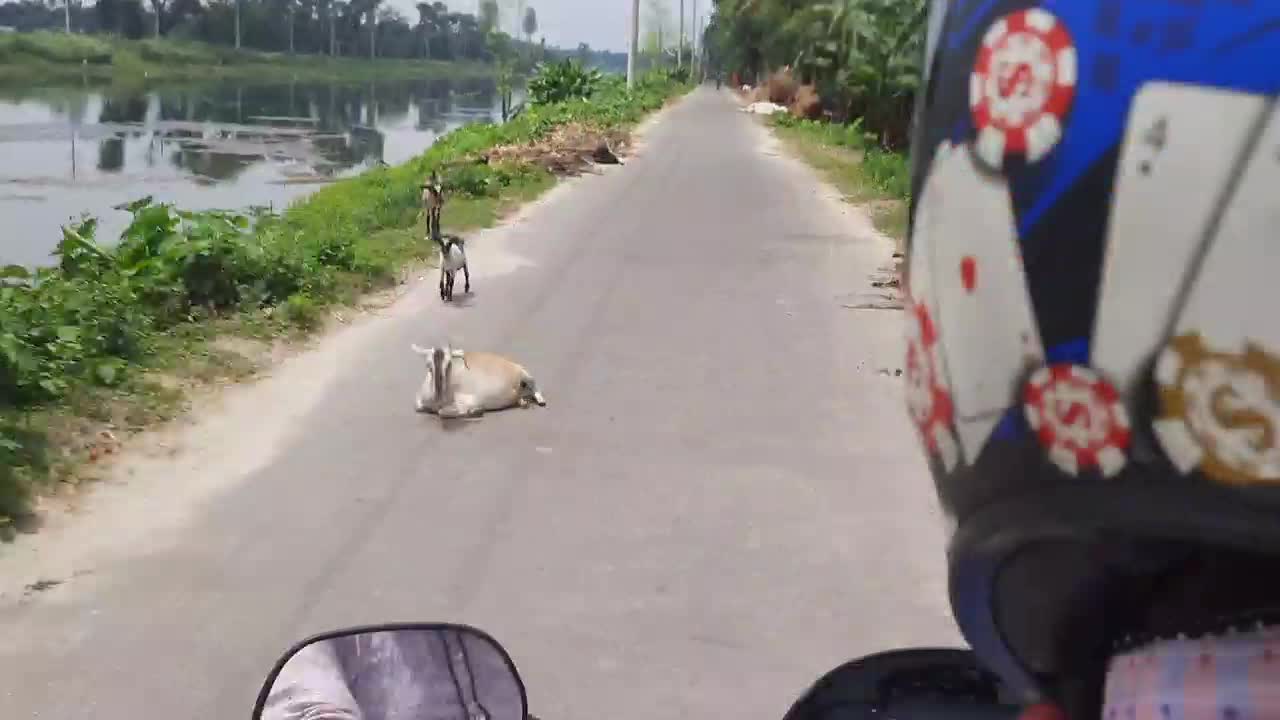 Bangladesh I went to visit Teesta Bridge, all of you will know