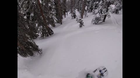 messing around on my new board. now missing. stolen from monarch mtn.