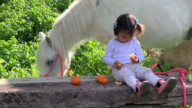 The cutest little toddler horse rider and her pony