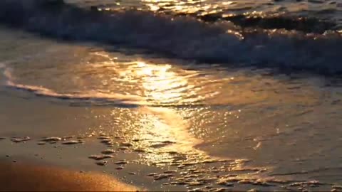 water and sun
