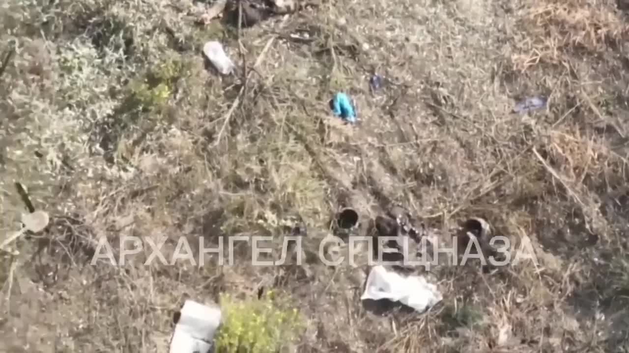 Obliteration of Ukrainians in the Kherson direction.