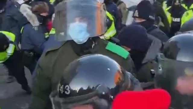 Ottawa Police Use Horses To Trample Protestors