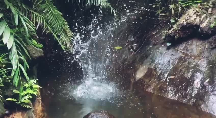 Beautiful waterfall in sri lanka