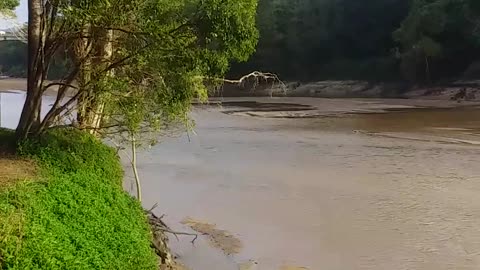 6.9.2024 The Barron River, Kuranda (4)