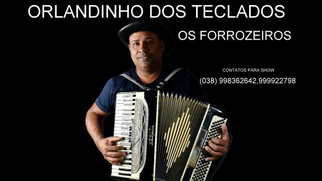 orlandinho dos teclados só forró