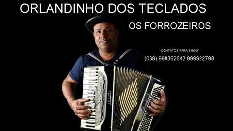 orlandinho dos teclados só forró