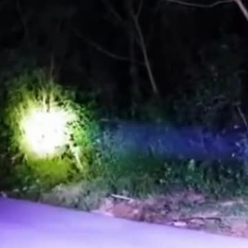 LED Spotlight $12.98