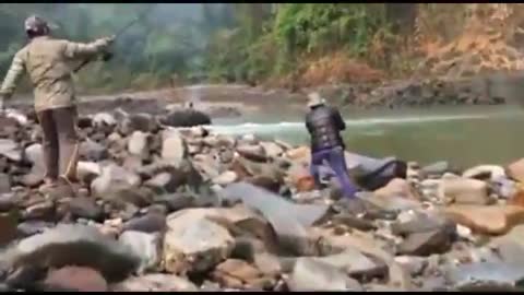 Monster fish golden masheer caught and released in river