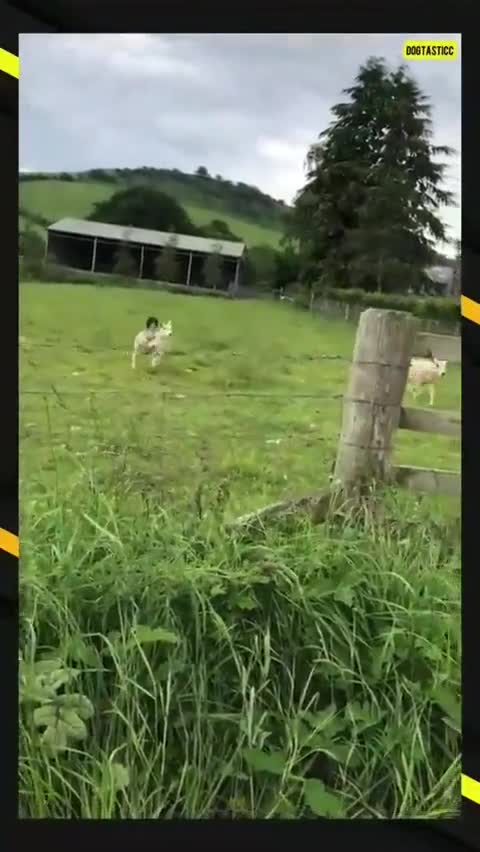 When you do your job, when you love your job, when you’re the best at your job…