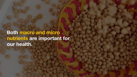 Macro vs Micro Nutrients: What's the Difference and Why They Matter for Your Health