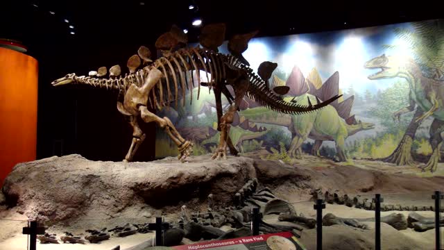 King James and Dinosaurs