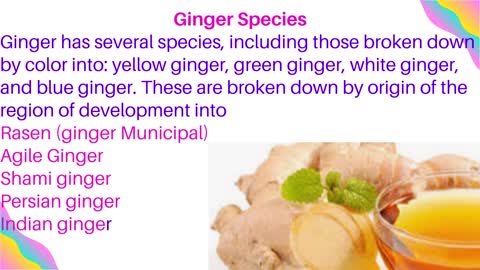 Ginger Species