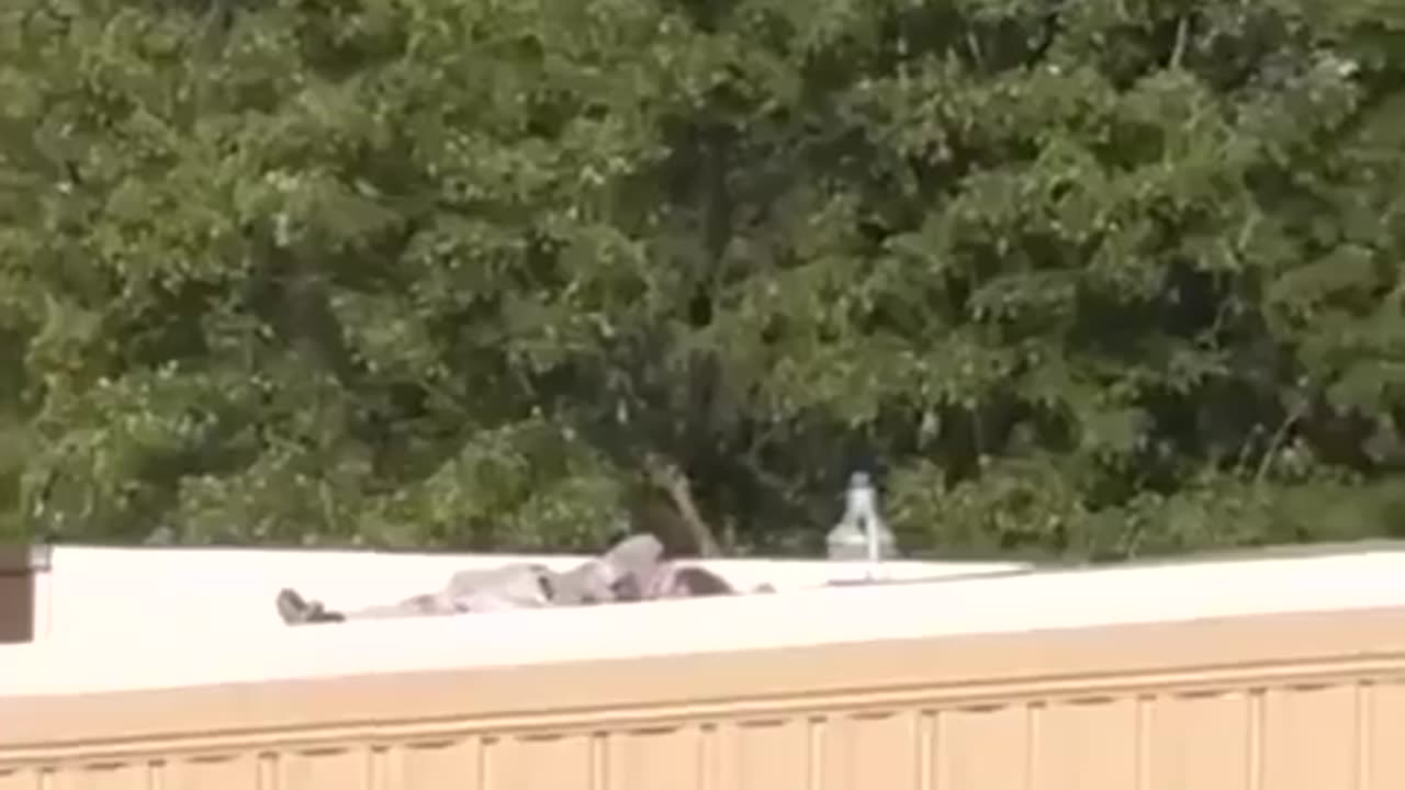 BREAKING: Footage emerges of Trump shooter dead on a rooftop. Here it is
