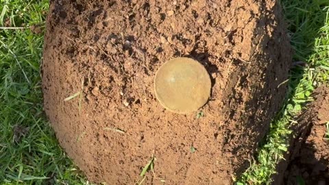 Georgian & Victorian Gold Rush Coin Spill On The Gold Fields Part14