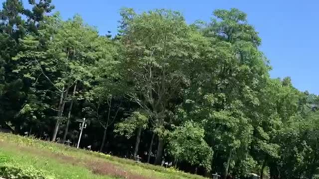 Prepare to climb the mountain