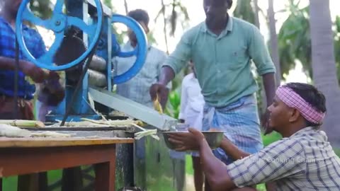 SUGARCANE JUICE | Making Farm Fresh Healthy Juice in indian Village