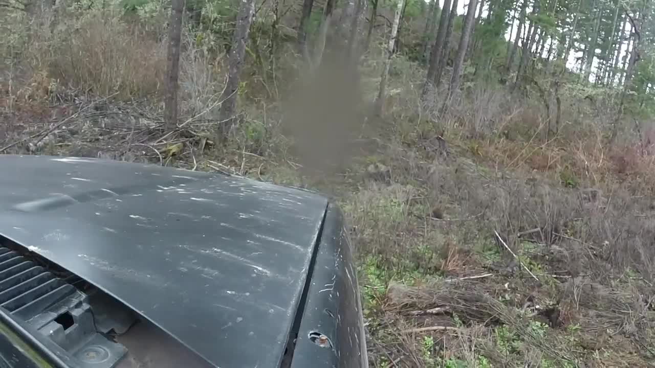 stock chevy on logging road