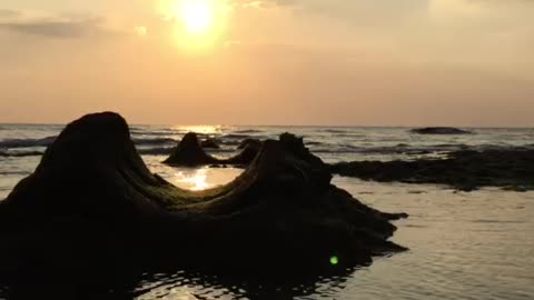 Okinawa sea wall