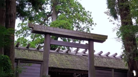 Ise Grand Shrine Mie Prefecture Japan Tour