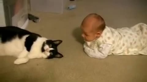 Cats around babies-how do they behave?