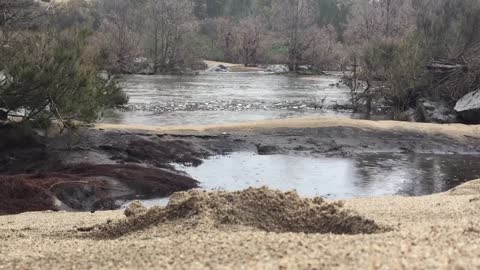 Relaxing Music | Sleeping, Meditation, Stress Relief | [1669] ⭐️