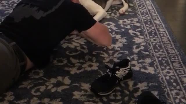 White dog howling with owner on floor