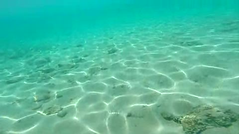 SNORKELING sea in the beatch